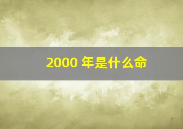 2000 年是什么命